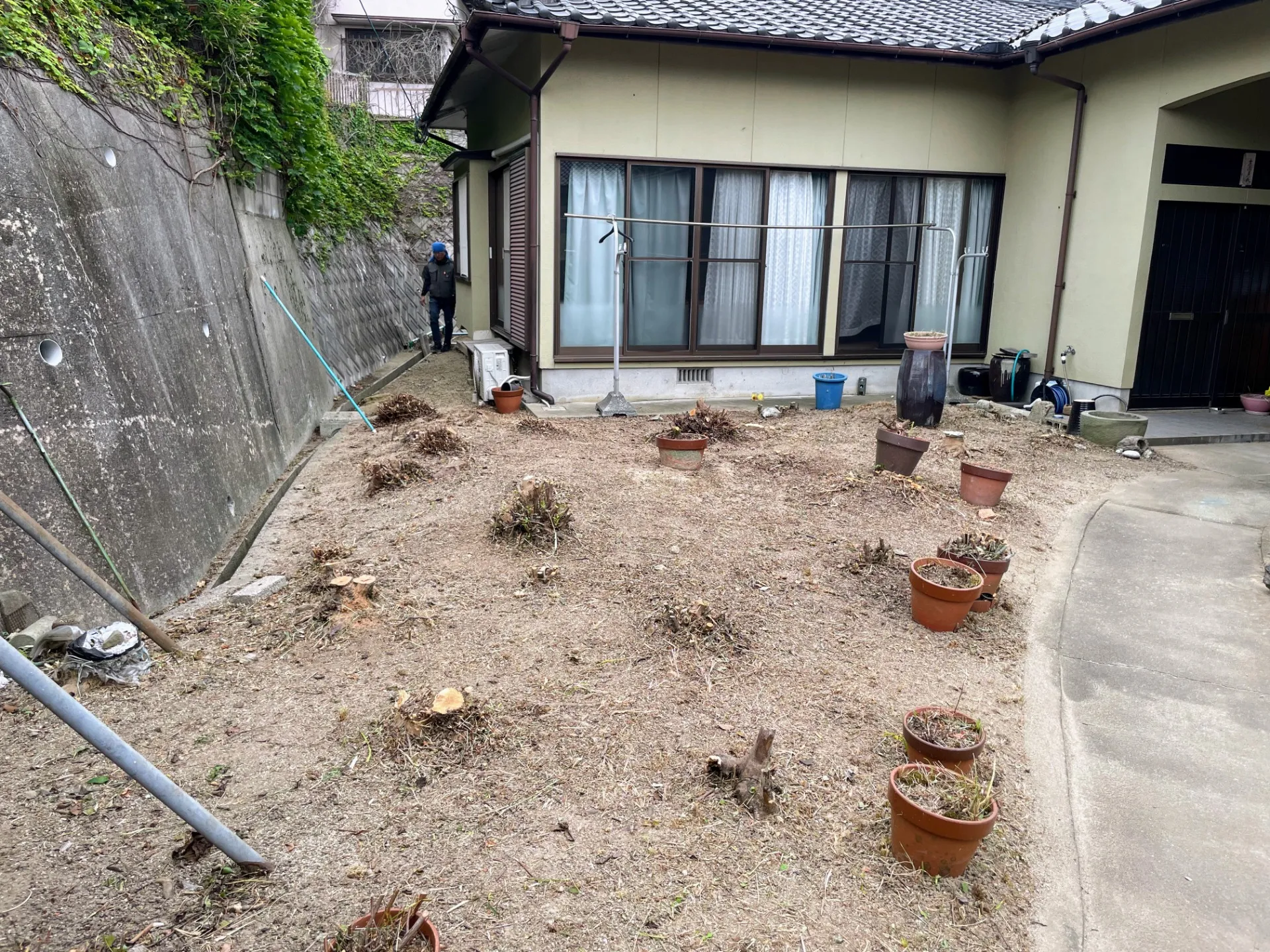 庭木の剪定から大木の伐採、枝打ちまで