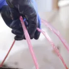 代表あいさつ